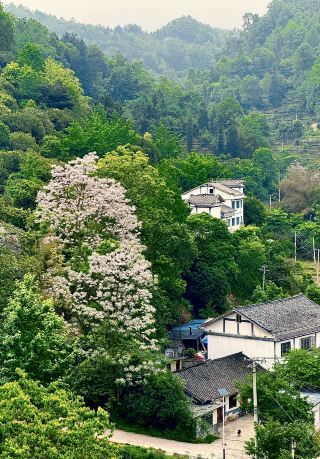 Lanjiang Grand Hotel in Meitan County, Zunyi