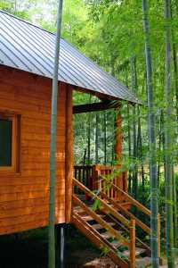 在莫干山闖入童話裡的小木屋