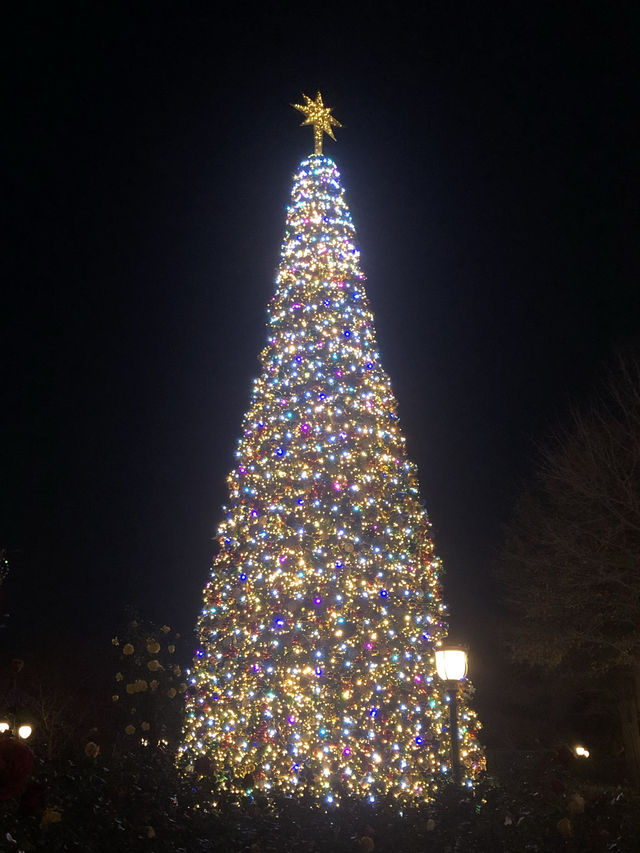 Christmas at Shanghai Disneyland 🎄