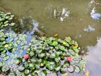 百年公園「掉落」夢幻「星球」，打卡無需門票哦