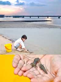 北海親子遊三天兩夜，跟漁民一起體驗趕海樂趣