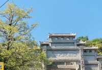 春意盎然！沂蒙山雲蒙景區，避暑新選擇！