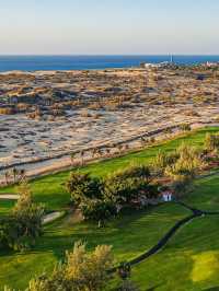🌟 Canary Islands Bliss: Top Hotel Picks! 🏖️✨