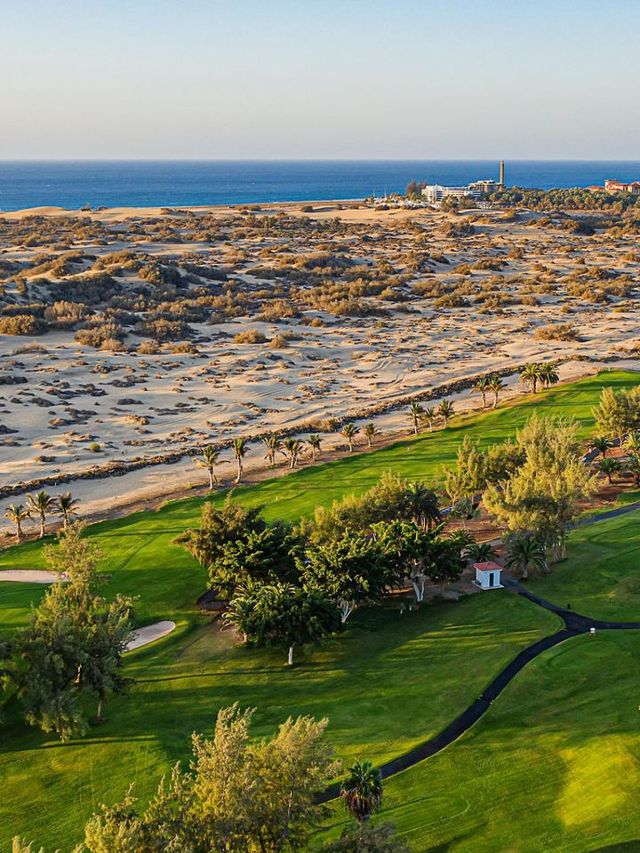 🌟 Canary Islands Bliss: Top Hotel Picks! 🏖️✨