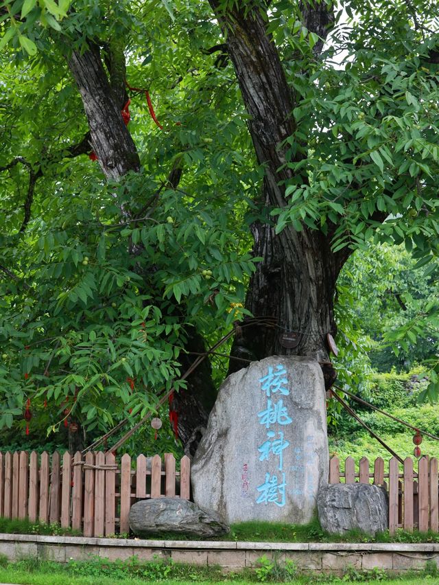 夏日避暑哪裡去？大理漾濞雲上村莊，人少景美好去處！