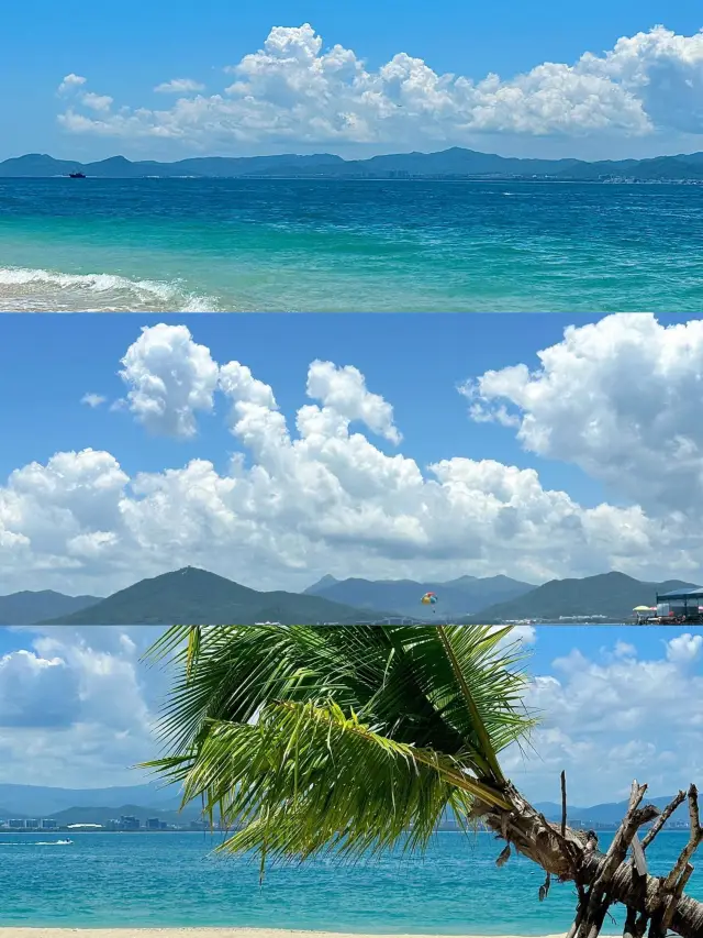 西島｜你不能錯過的那一抹藍