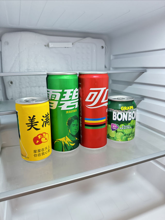 不是馬爾代夫去不起，而是西雙版納更有性價比！