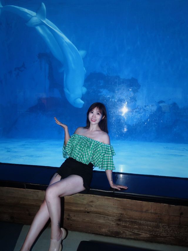這個夏天，一起去海洋館避暑叭！