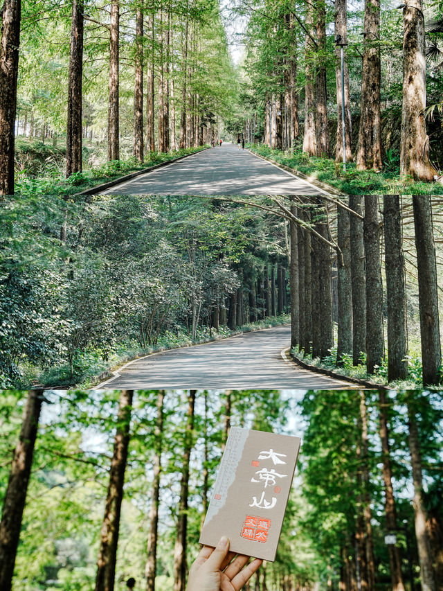 德興梧風洞 | 探尋江西的“小廬山”，景美如畫！