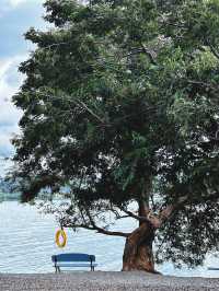 雲南昆明陽宗海｜被昆明遺忘的後花園