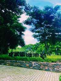 一面是湖，一面是塔，西麗湖環湖綠道美絕了！