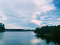 一面是湖，一面是塔，西麗湖環湖綠道美絕了！