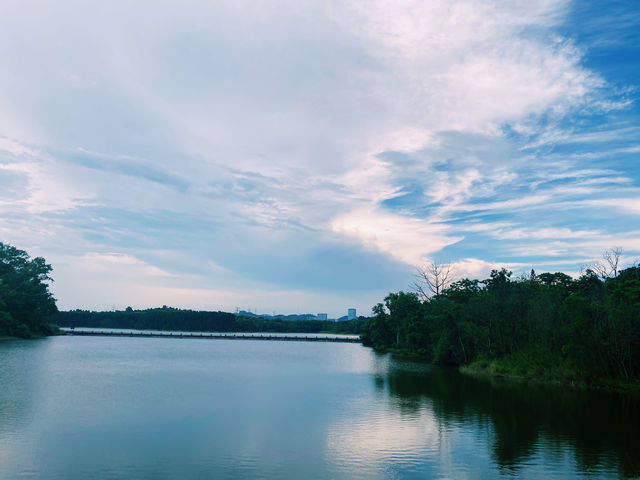 一面是湖，一面是塔，西麗湖環湖綠道美絕了！