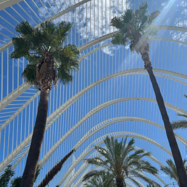 Valencia city of arts and sciences 