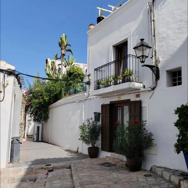 A day tour in ibiza Spain