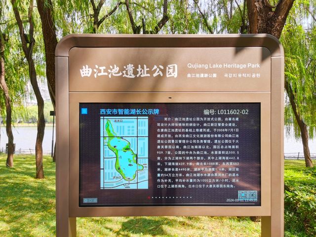 唐朝遗址的自然生態。