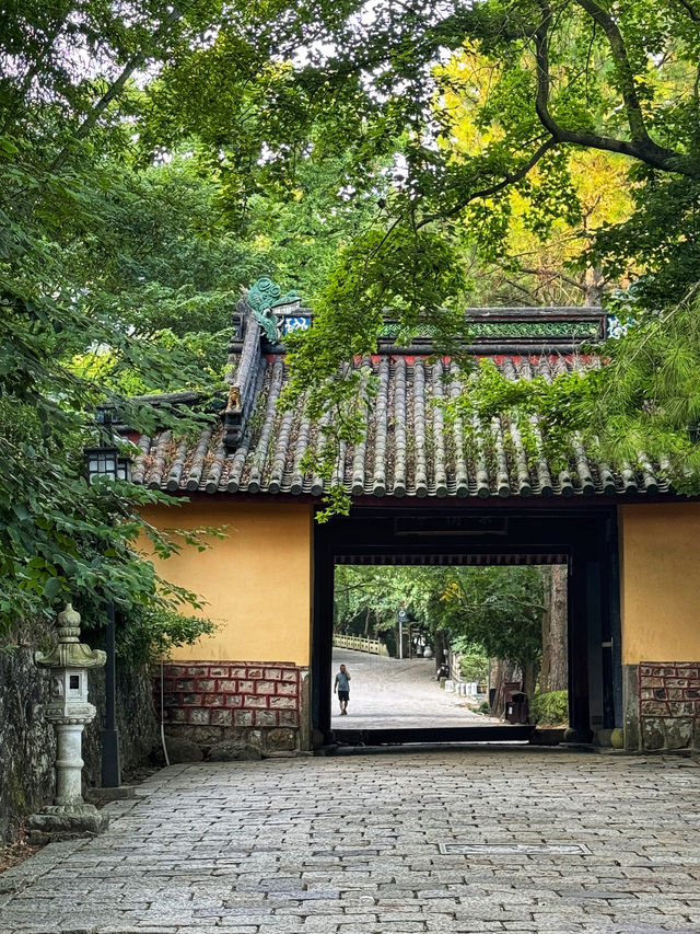 寧波古剎中的頂流——天童寺。
