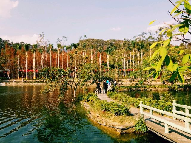 Counting Stars in Zhaoqing: An Amazing Journey Through Seven Stars Park