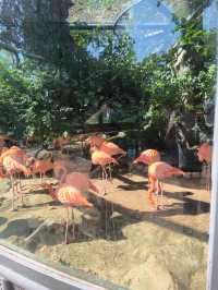 濟南動物園，太陽城。