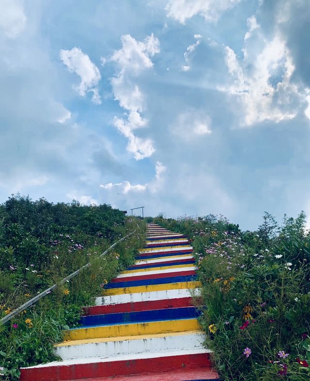 成都出發1小時|打卡絕美治癒山頂。