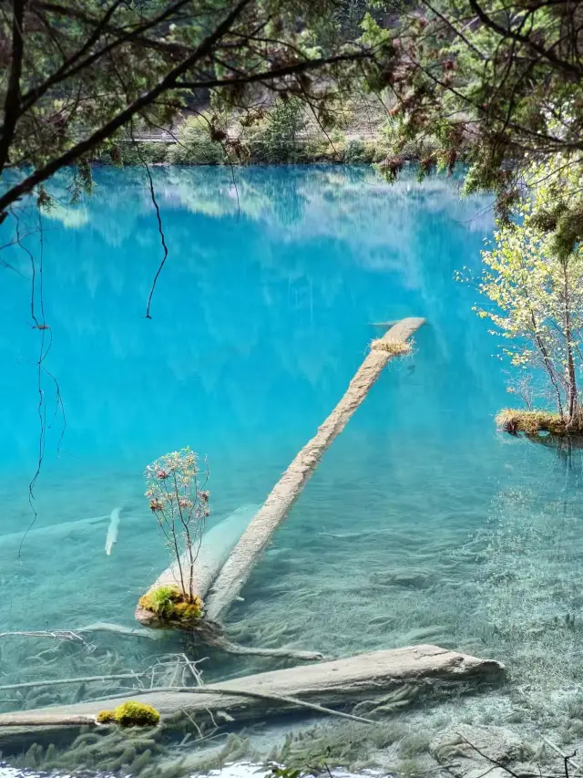 Jiuzhaigou.
