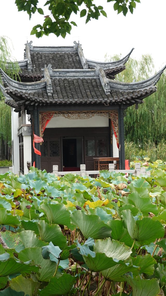 淮安府署｜人骨燈是假，全國文保單位是真。