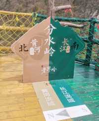 河南南陽西峽老界嶺｜一腳踏南北，一日攬華夏。