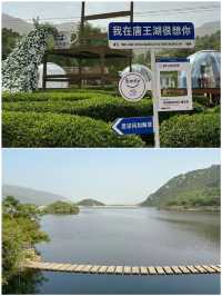 今年為止，我最喜歡的旅遊城市出現了。