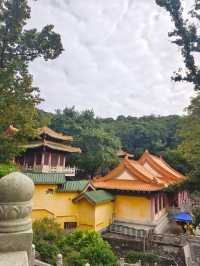 江門新會圭峰山天然氧吧。