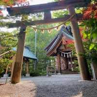 Tenjinyama Ryokuchi Park Japanese garden.