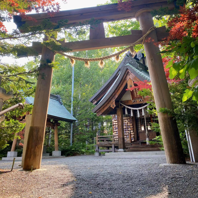 Tenjinyama Ryokuchi Park Japanese garden.