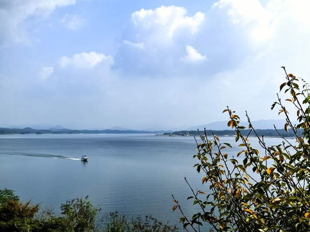 龍河口水庫。