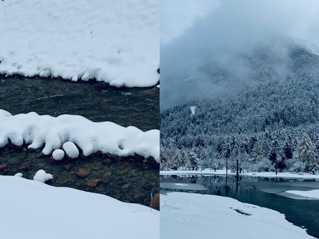11.4實況 | 下雪的畢棚溝美到 Next level。