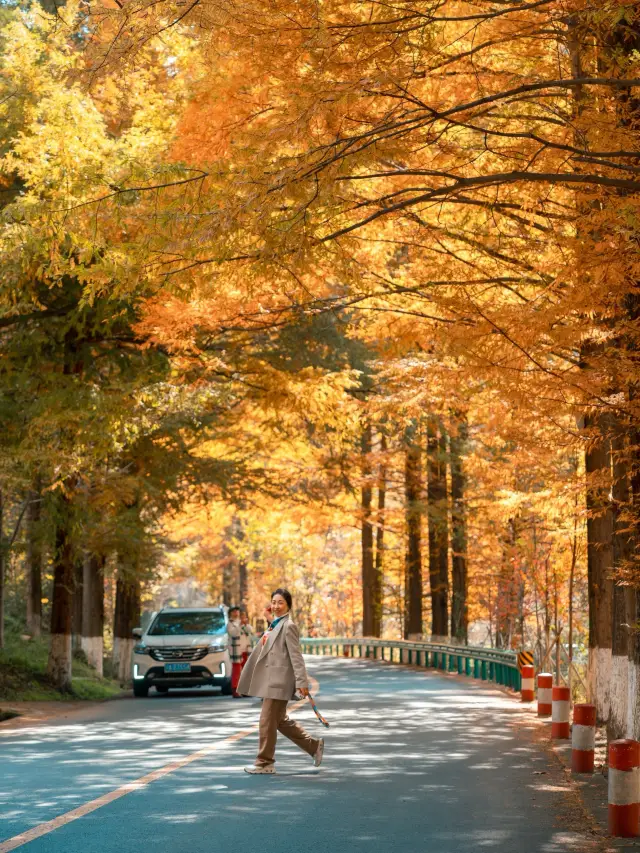 西安自動車旅行｜秦嶺の秘境で紅葉狩りの旅を始めましょう。