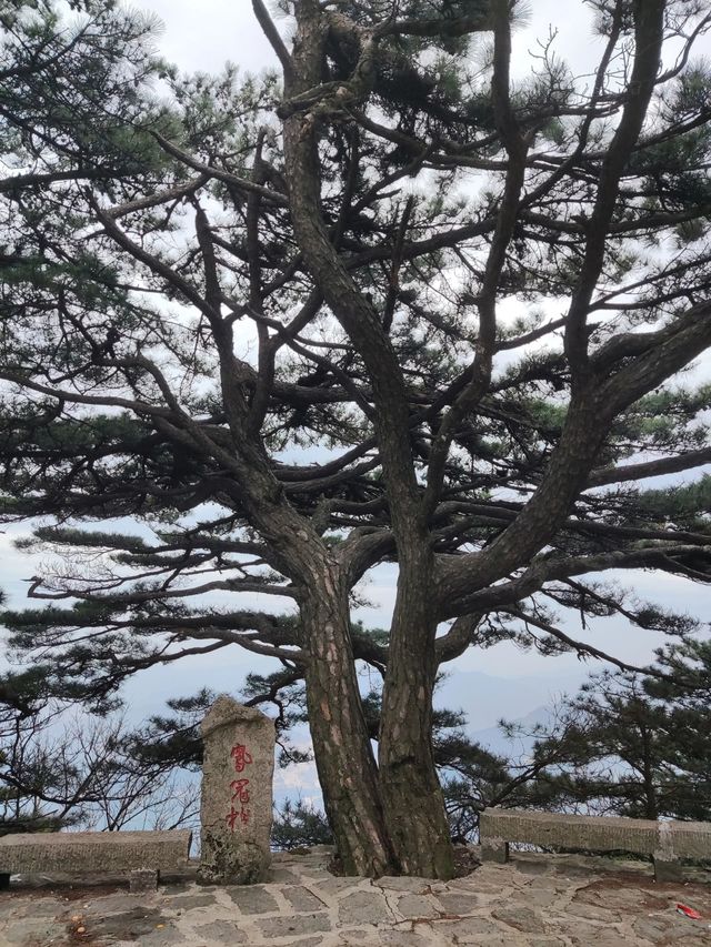 湖北黃岡薄刀峰｜值得N刷的治癒徒步路線。
