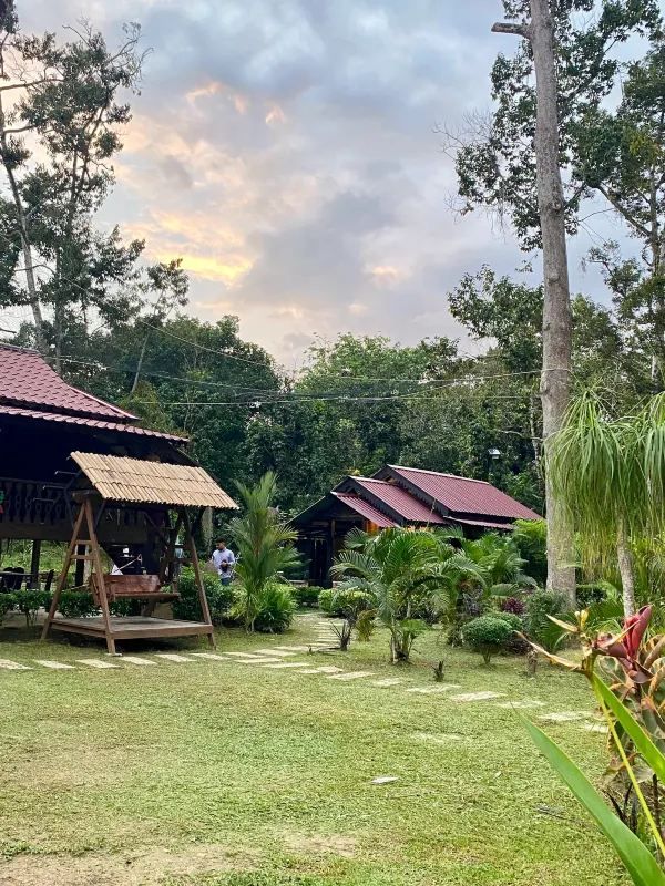 Discover a Hidden Thai Restaurant Oasis Near UUM