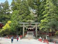 Exploring the Cultural and Natural Heritage of Nikko
