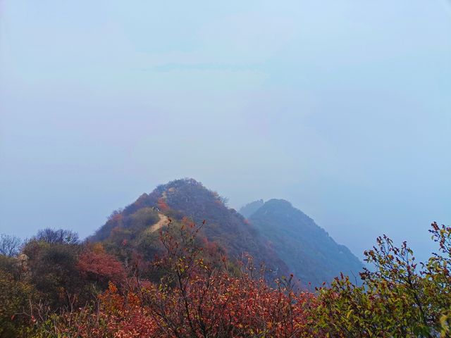 西安‖徒步五道梁觀賞紅葉。