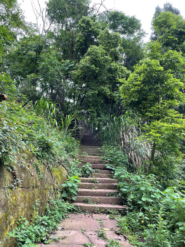 石刻藝術巔峰：華嚴洞的神秘之旅！