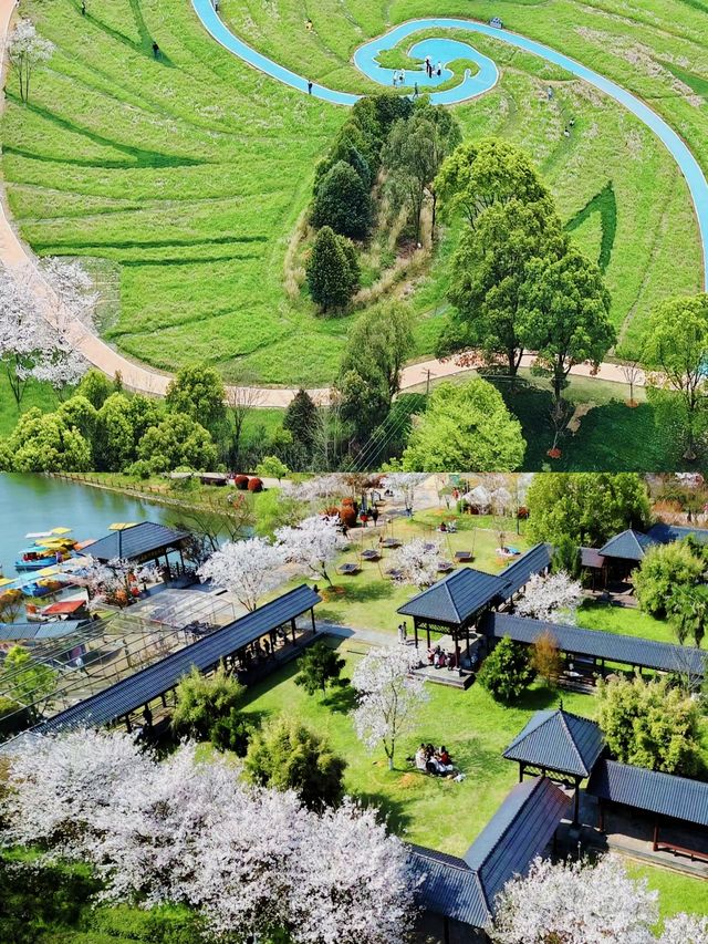 邂逅花開滿園，鳳凰溝等你來遊。