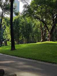 瘋狂吸氧深圳又一神仙寶藏公園！！。