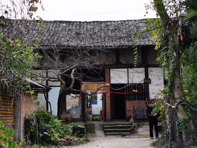 重訪貢井艾葉沙塘半島