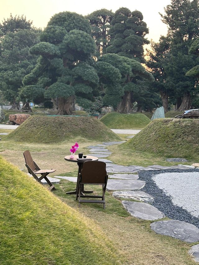 松屿齊樹形庭院