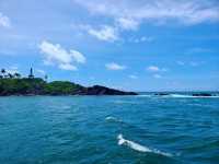Sri Lanka Whale Watching Adventure