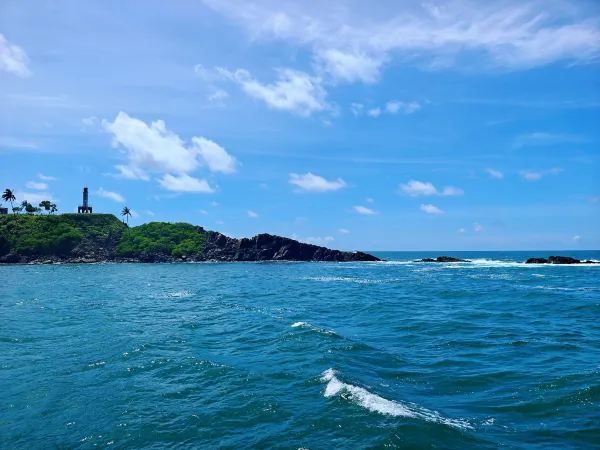 Sri Lanka Whale Watching Adventure