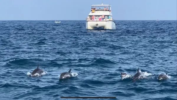 Sri Lanka | Mirissa Whale Watching Guide