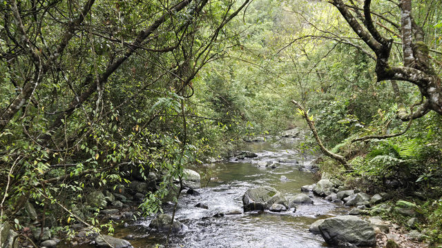 五指山·五指山水滿河熱帶雨林風景區
