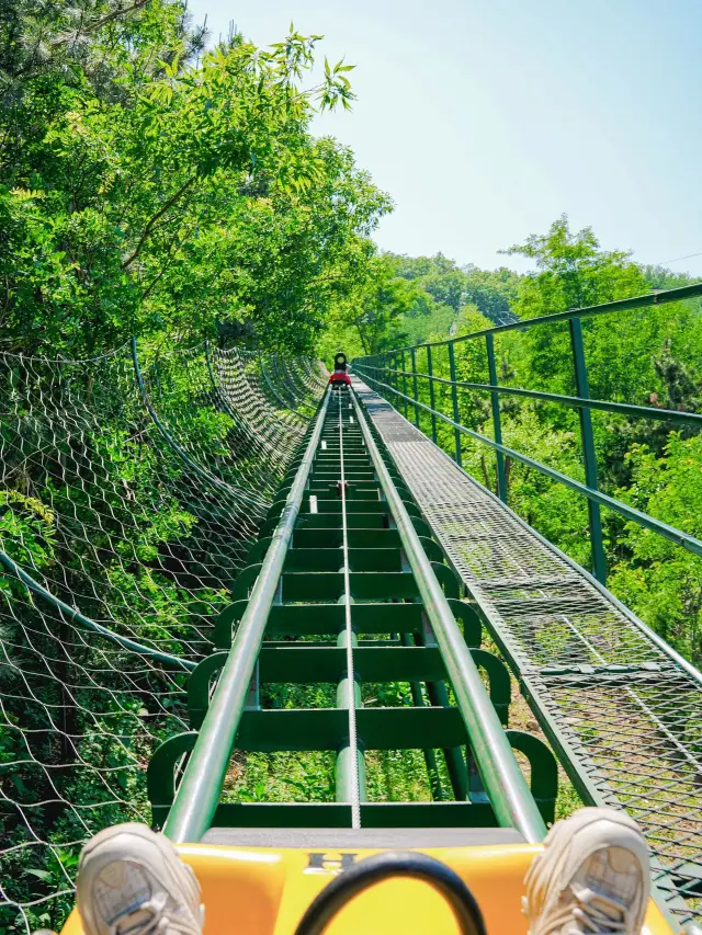 5일간의 청도-웨이하이-옌타이 온천 여행을 놓치지 마세요