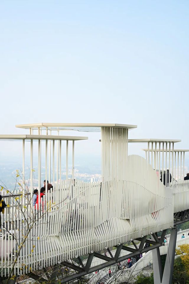 龍泉山城市森林公園｜城市綠肺，自然瑰寶