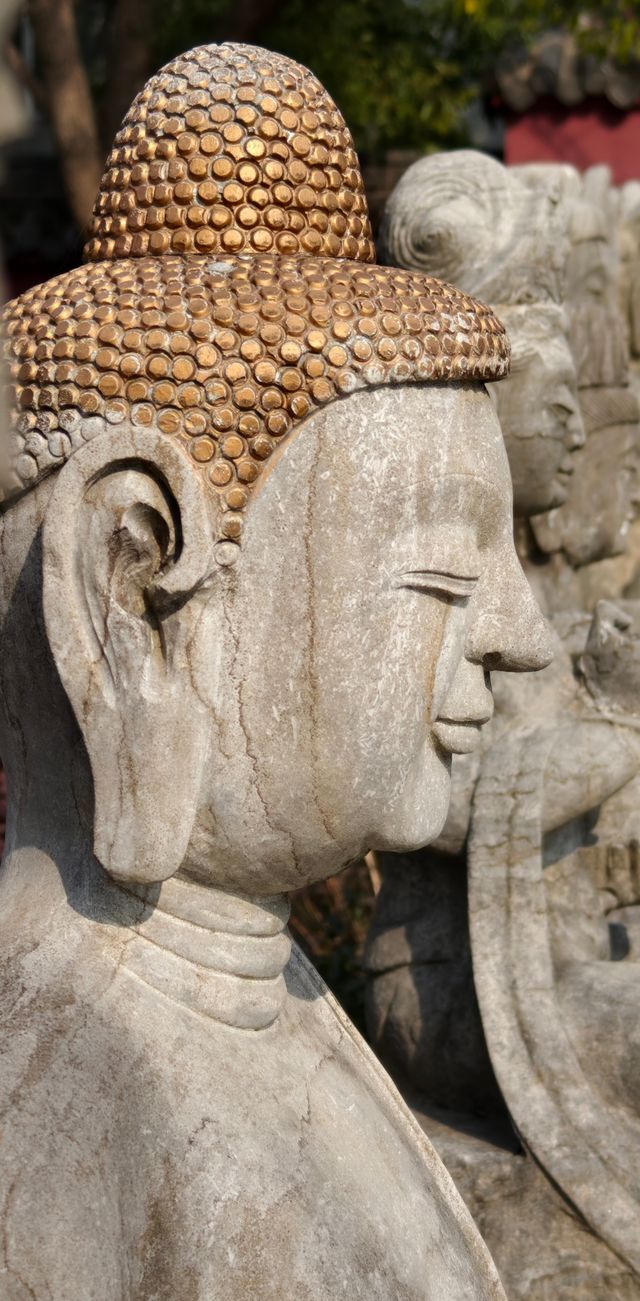 打卡溧水周園